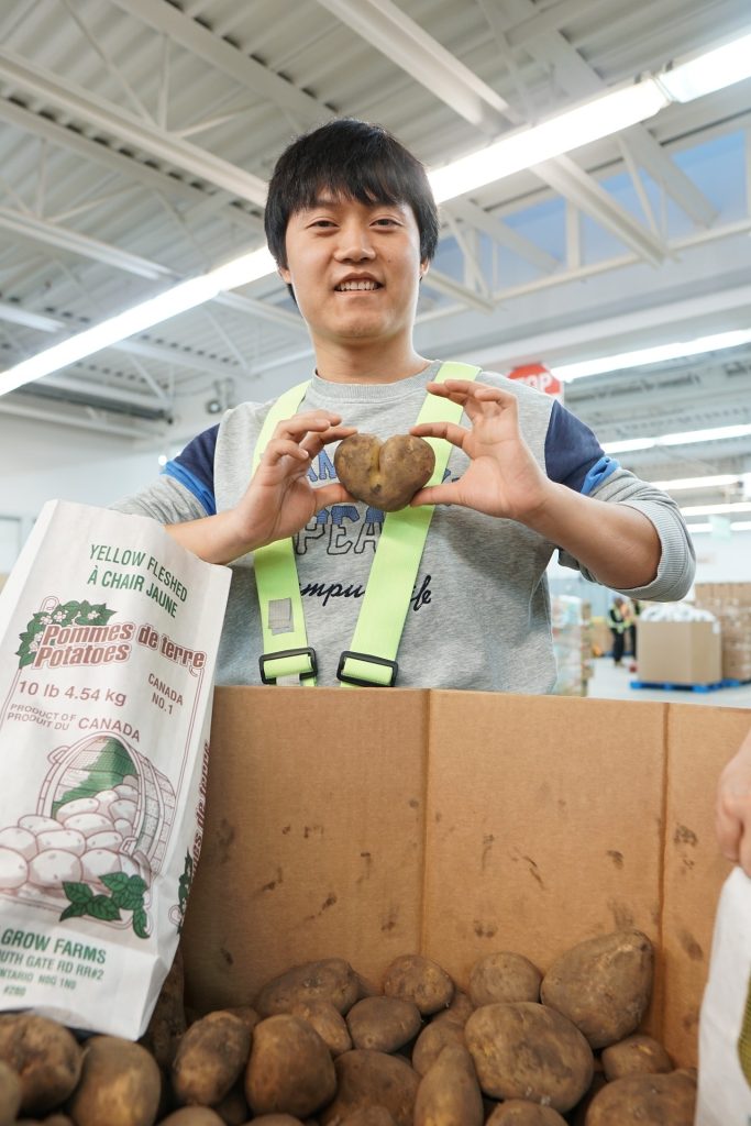 undergraduate education