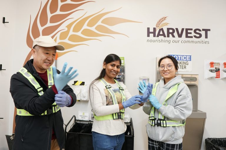 undergraduate education