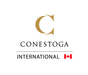 undergraduate education