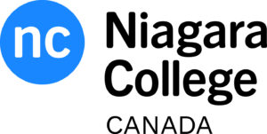 undergraduate education